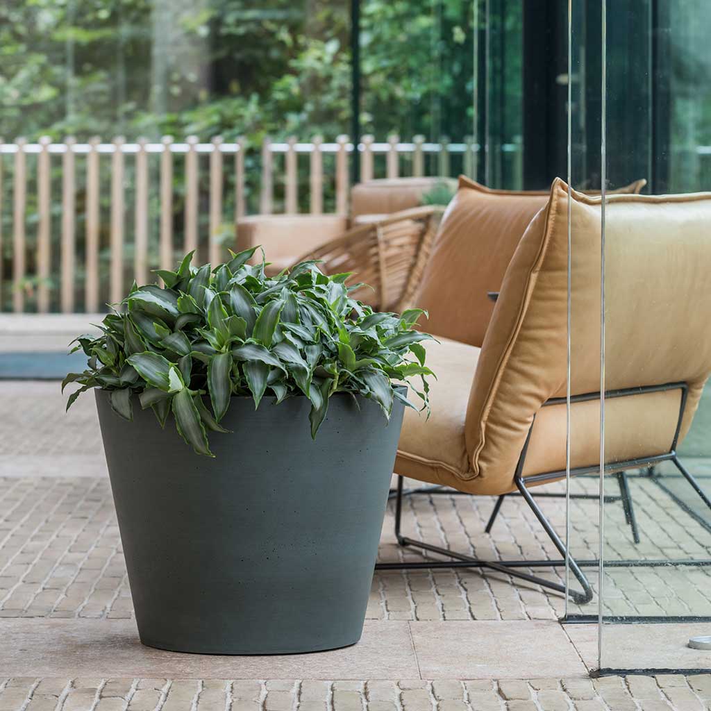 Bucket Refined Planter Pine Green