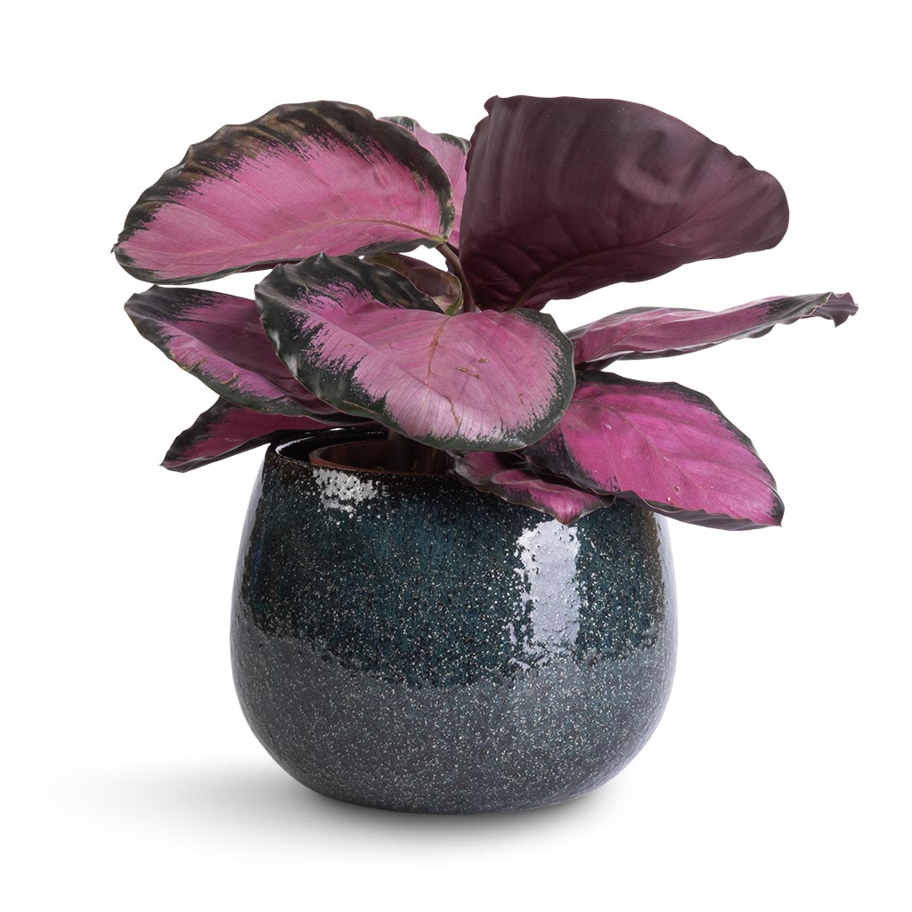 Odile Plant Pot - Petrol