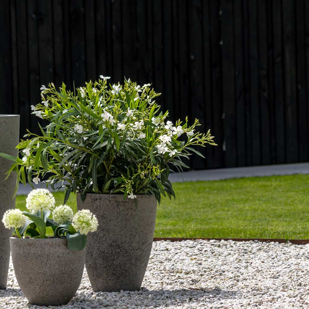 Cement & Stone Ben Planter - Granite Grey