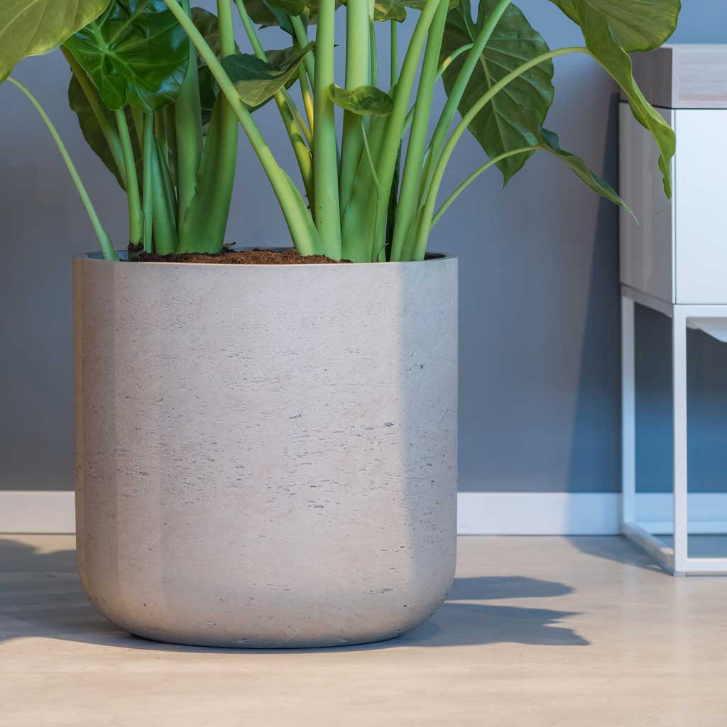 Charlie Plant Pot - Grey Washed - Floorstanding
