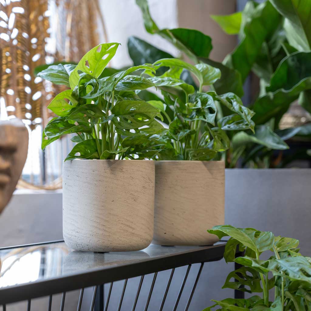 Charlie Plant Pot - Grey Washed M