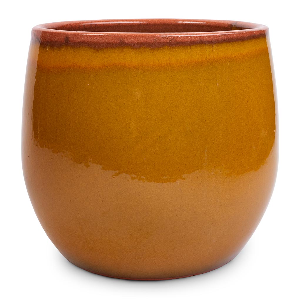 Charlotte Plant Pot - Spiced Ochre - Medium