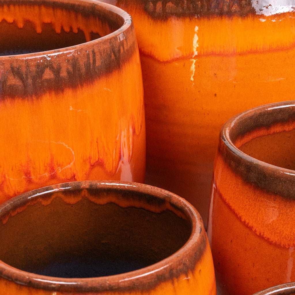 Group Close Up of Charlotte Orange Plant Pots 