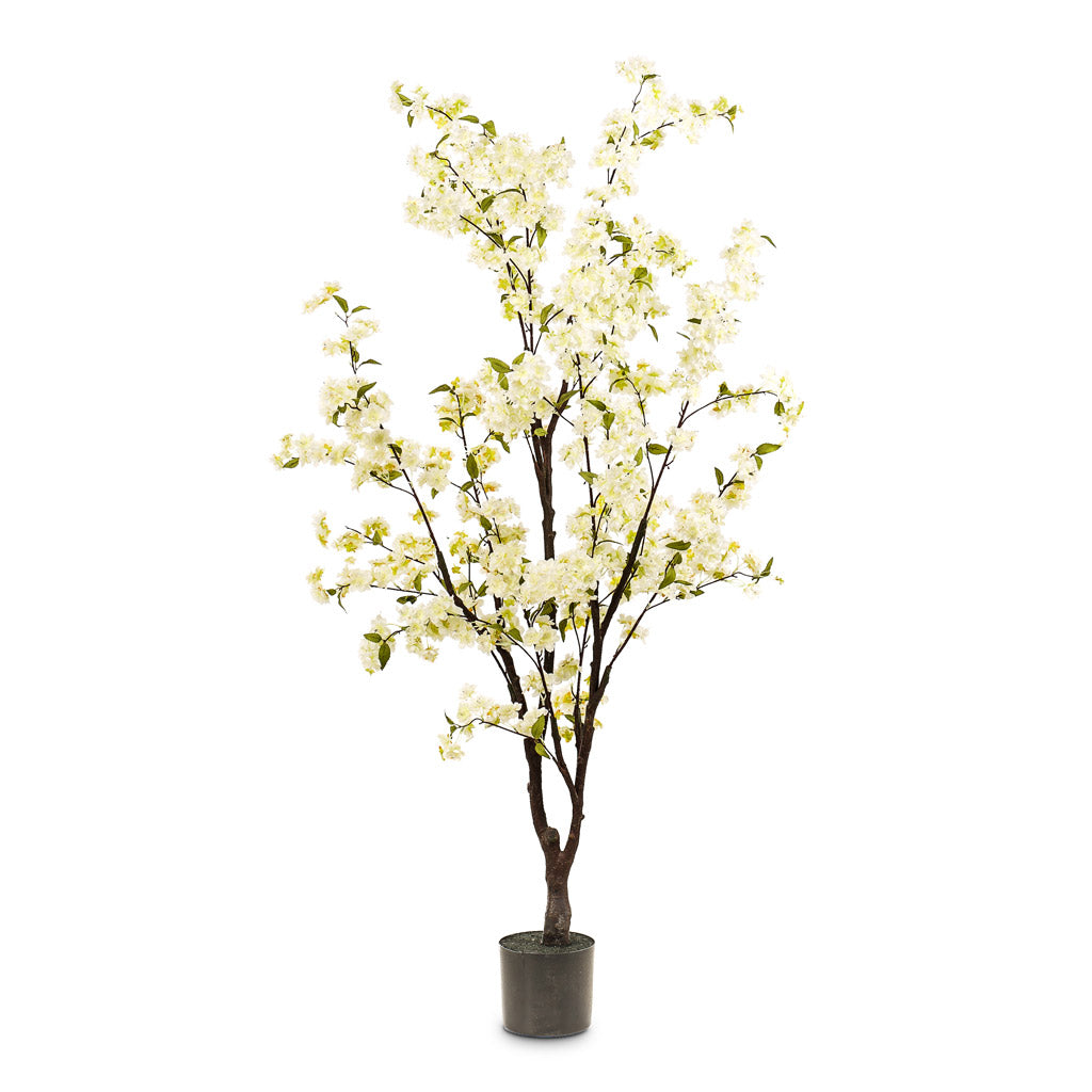 Cherry Blossom Tree Artificial White - 175cm