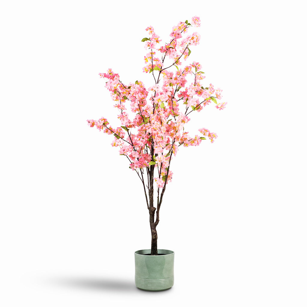Cherry Blossom Tree Pink Artificial 135cm House Plant In Munich Pot Green Gloss 20x18cm