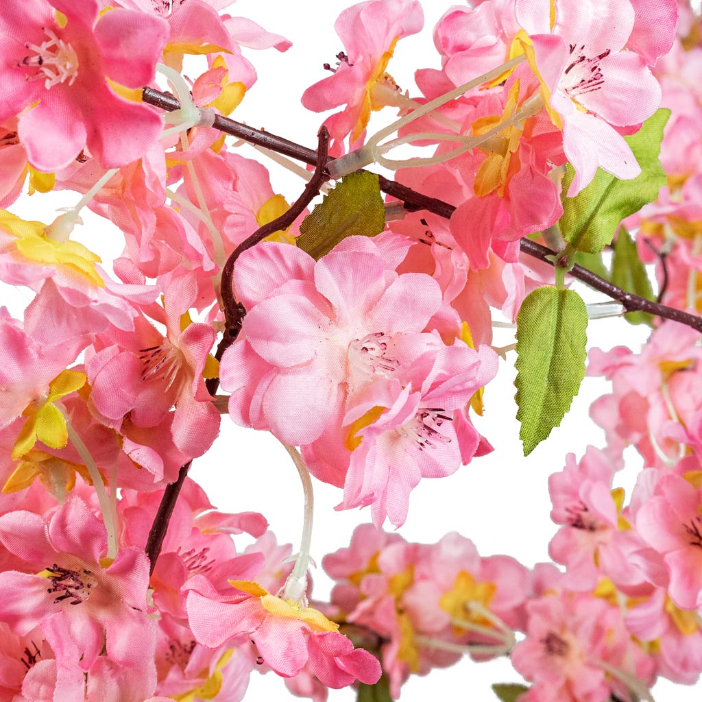 Cherry Blossom Tree Pink Artificial Blossom Flower Close Up 