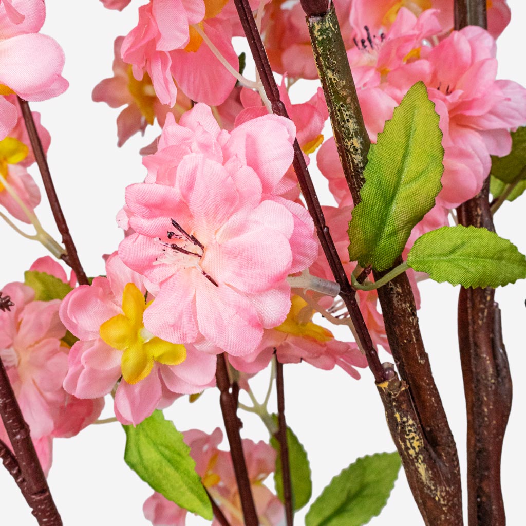 Cherry Blossom Tree Pink Artificial Close Up 