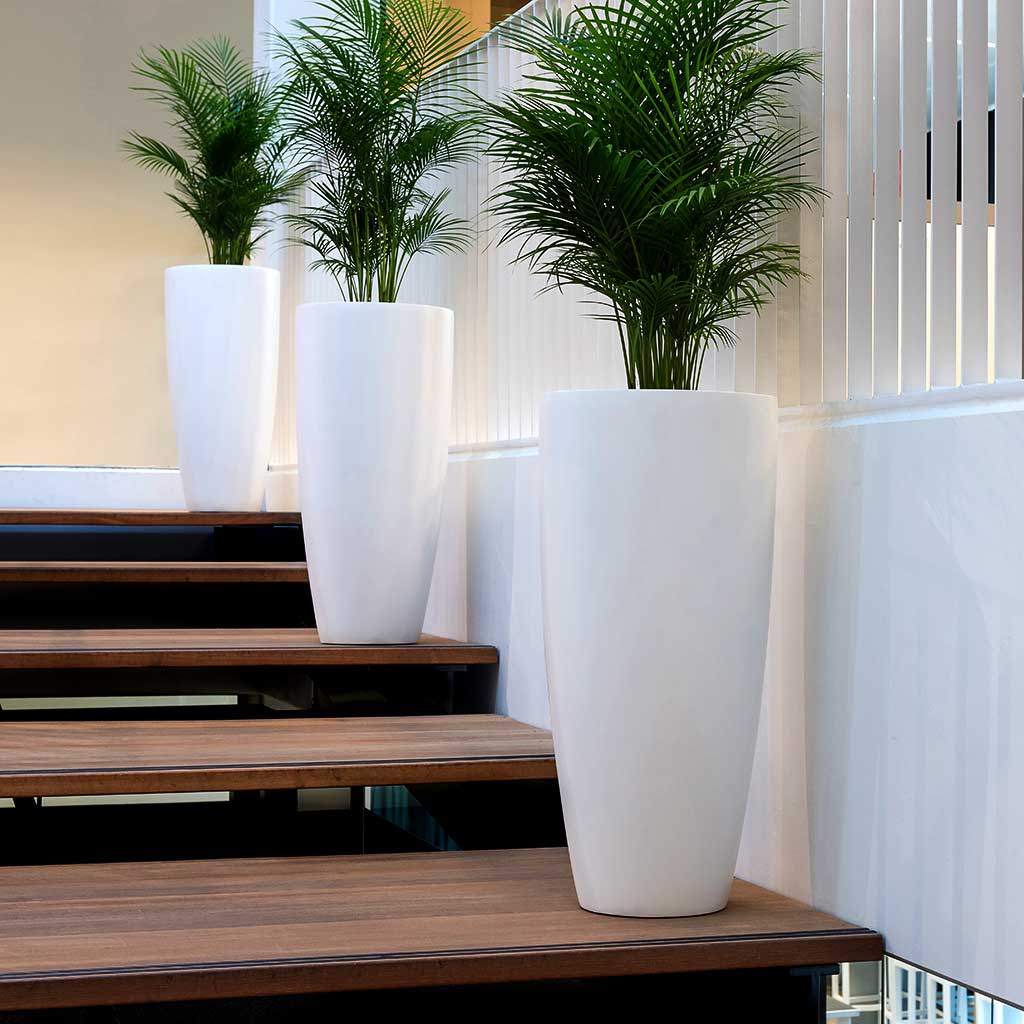 Dax Essentials Planters Matt White Office Staircase