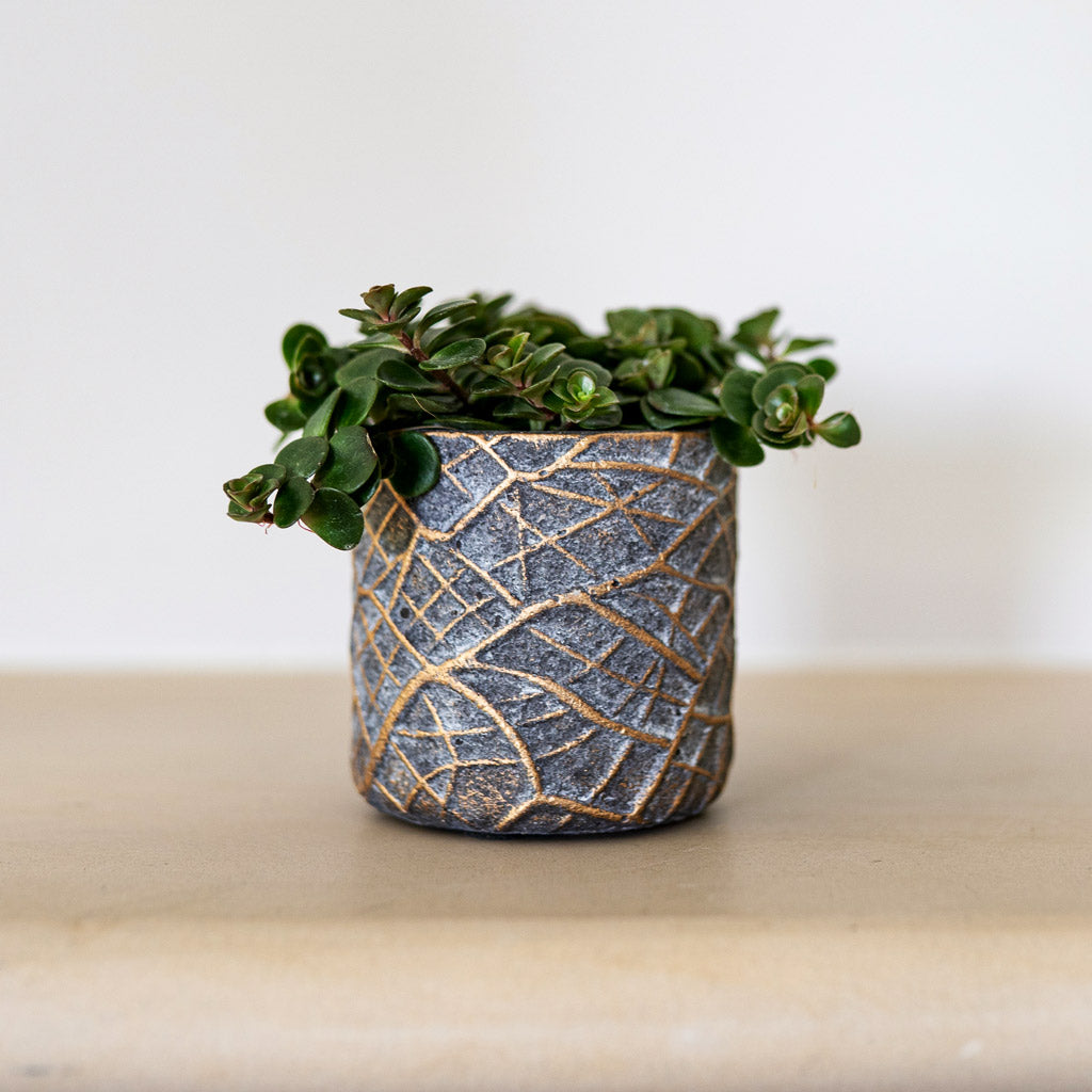 Denzel Pot Shiny Concrete with Houseplant