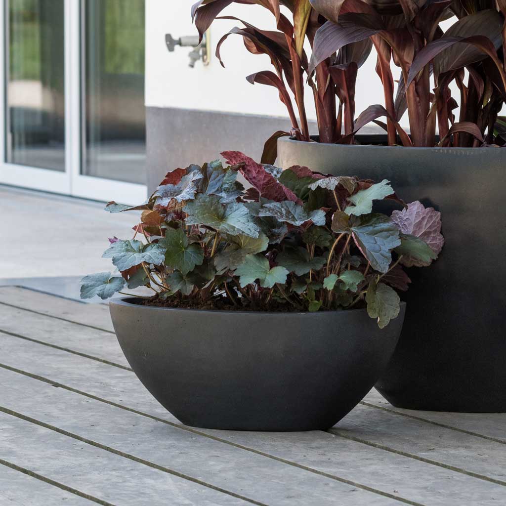 Dorant Natural Planter - Black Medium
