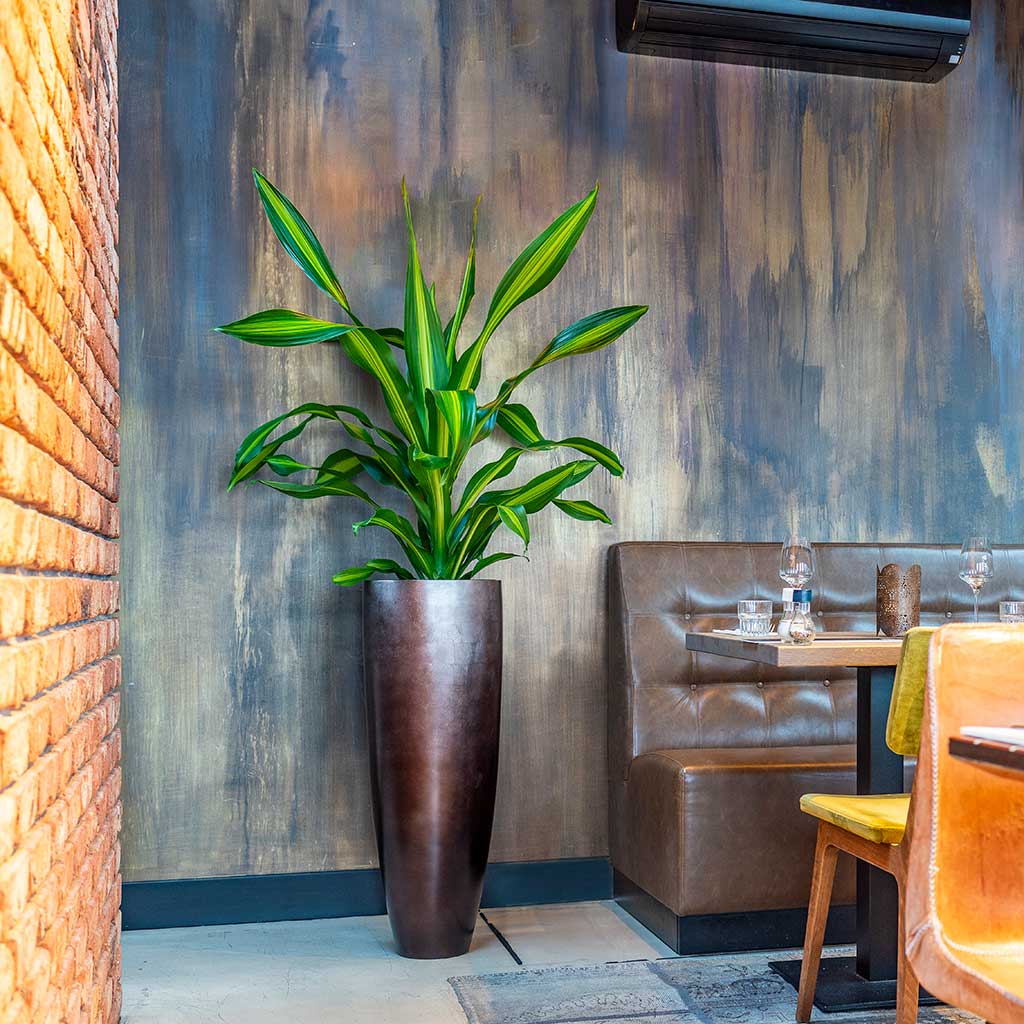 Metallic Partner Planter - Matt Coffee