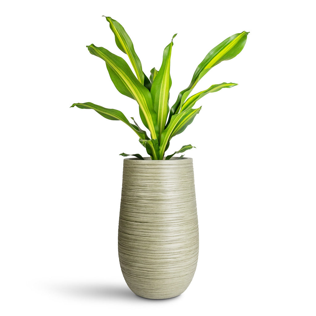 Dune Partner Planter Green - 25x40cm