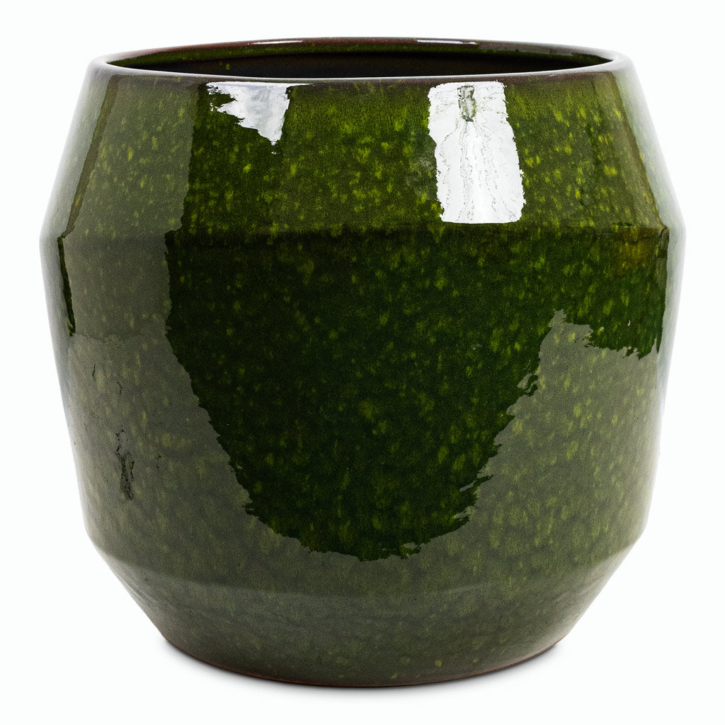 Eddy Pot Pear 