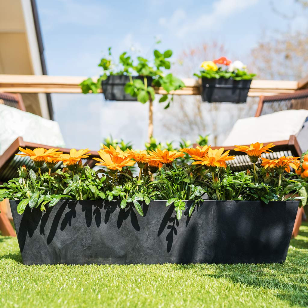 Ella Artstone Balcony Trough Planter - Black & Gerberas