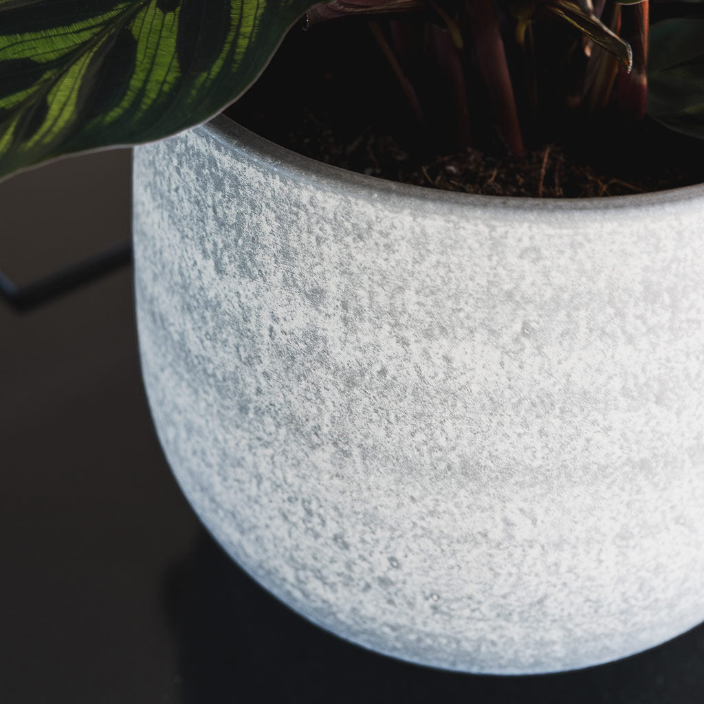 Esra Pot Concrete Close Up 