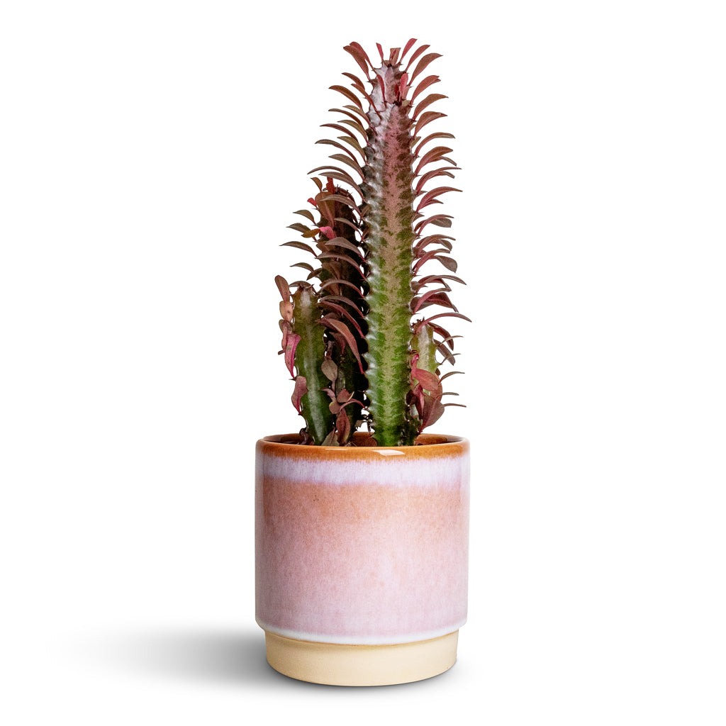 Copenhagen Plant Pot - Pink - 15.5 x 16cm