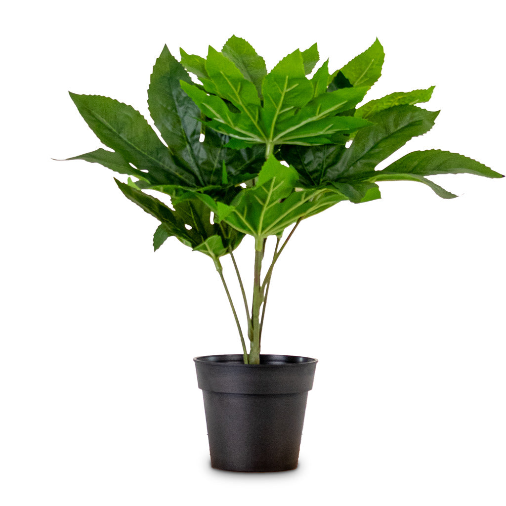 Fatsia Japanese Aralia Potted Artificial 30cm