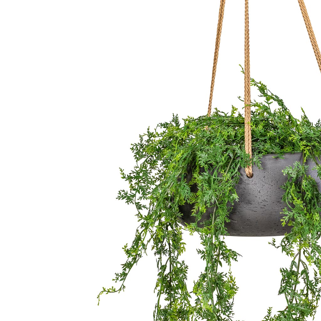 Eileen Hanging Plant Bowl - Black Washed