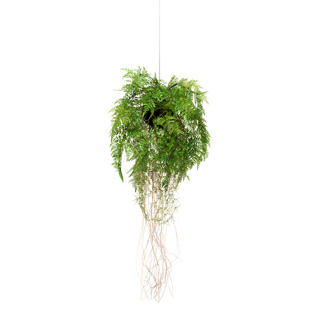 Fern Roots Hanging Artifical - 35cm