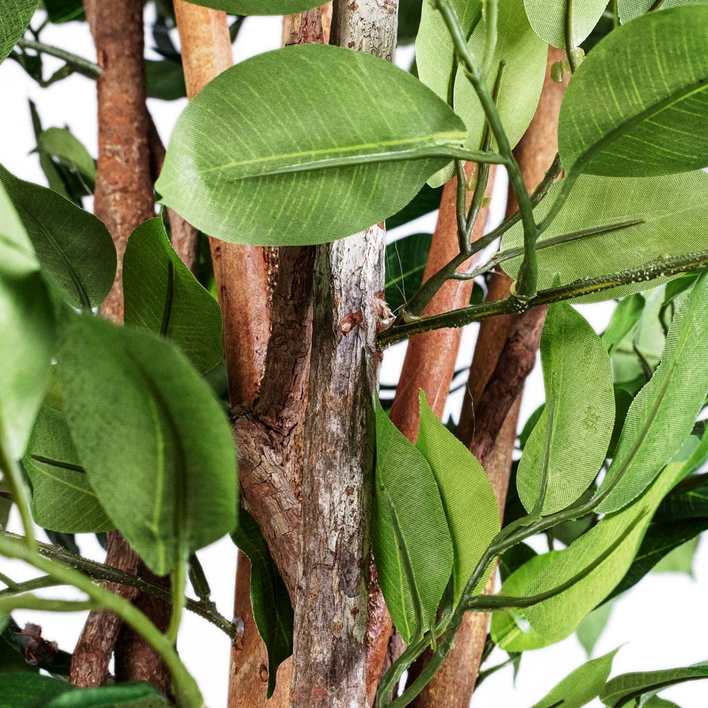 Ficus Deluxe Vine Tree Artificial Close Up Of Stems And Leaves