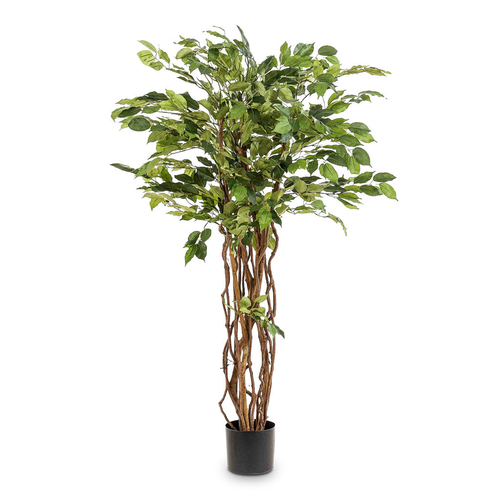 Ficus Liana Artificial - 140cm