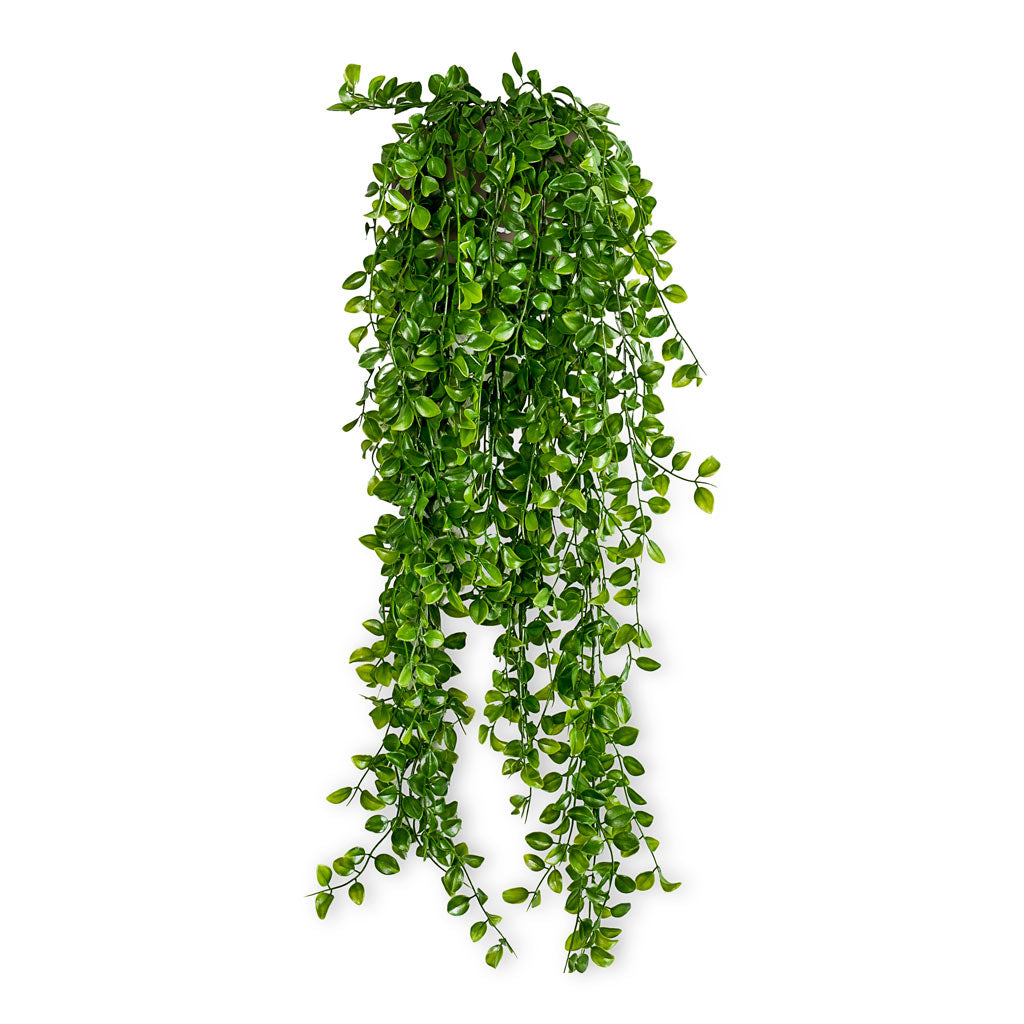 Ficus Pumila Artificial Hanging Bush 80cm - (6 Stems)