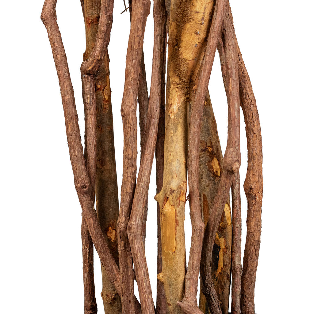 Ficus benjamina Liana Artificial Close Up Of Trunk