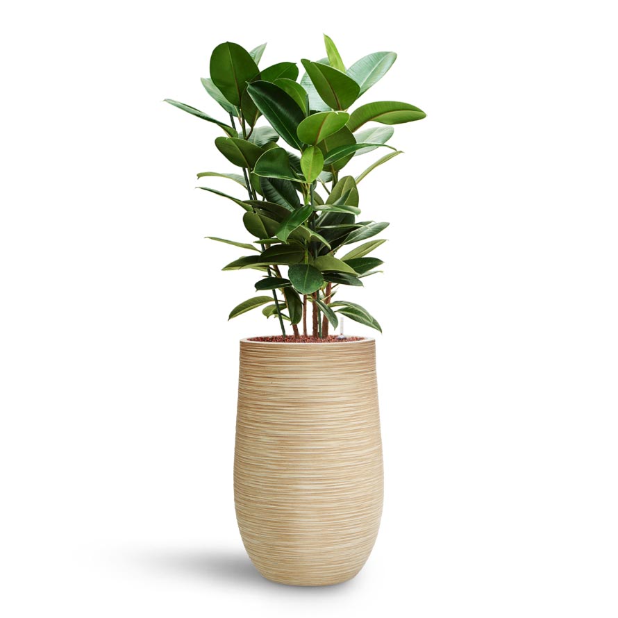 Dune Partner Planter - Oat - 25 x 40cm