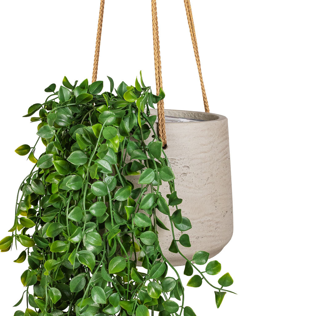 Ficus pumila Hanging Bush Artificial (6 stems) In  Patt Hanging Pot Grey Washed 
