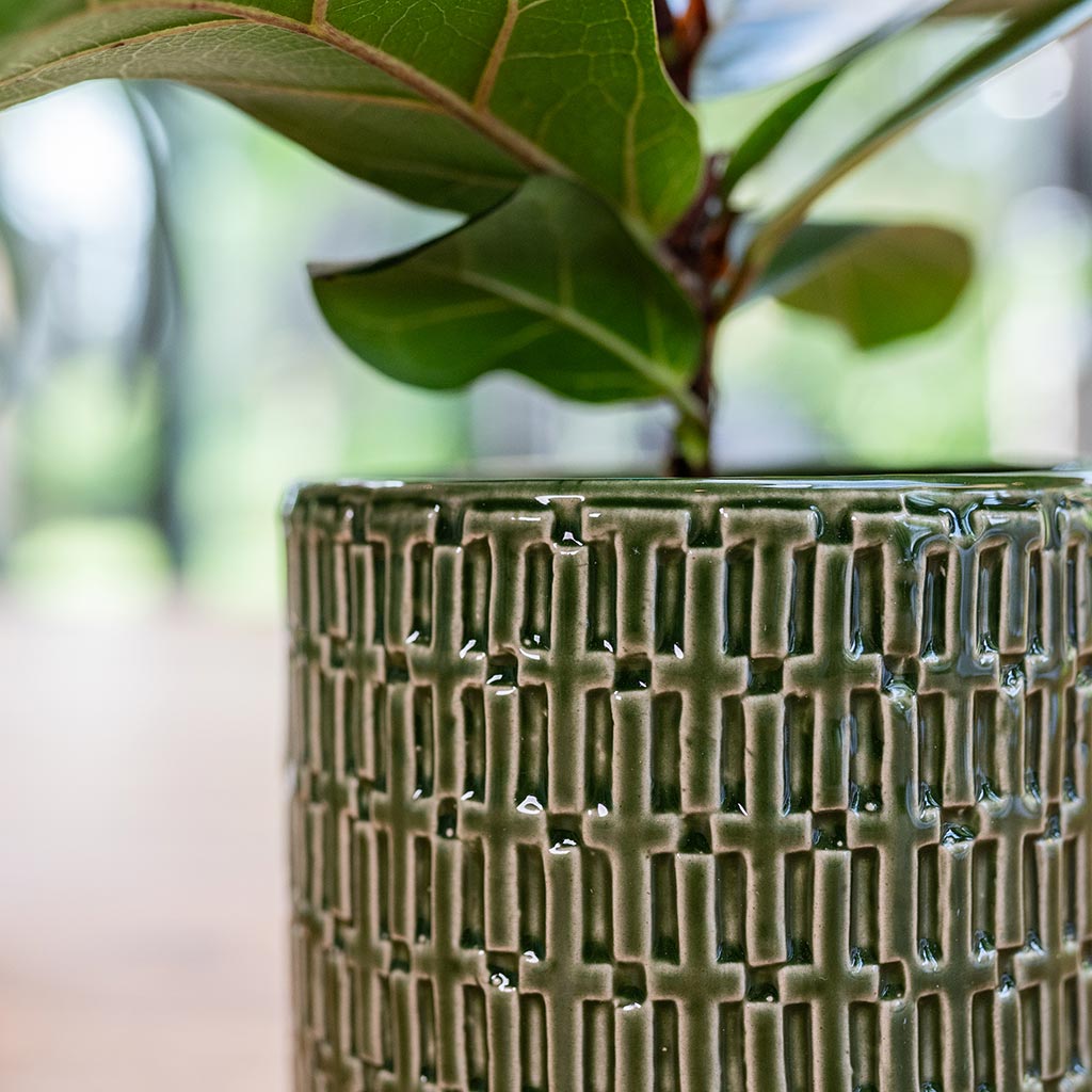 Flor Plant Pot - Green Close Up