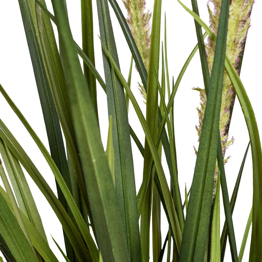 Foxtail Grass Artificial Close Up
