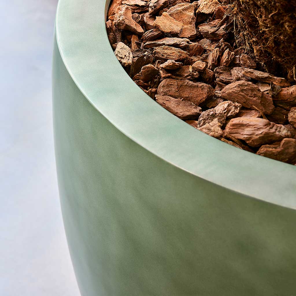 Gradient Balloon Planter - Matt Forest Rim