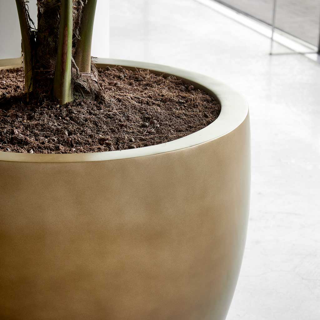 Gradient Couple Planter - Matt Honey Rim