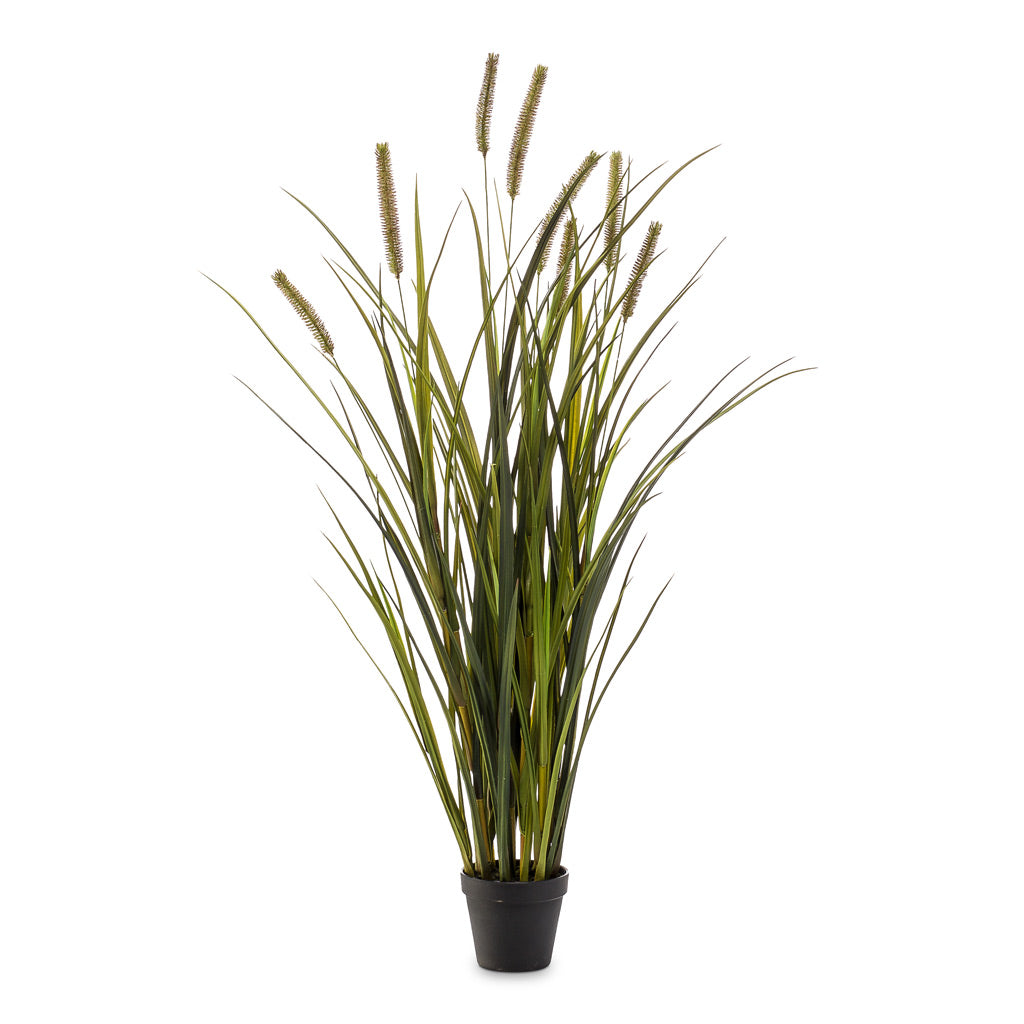 Grass Cattails Artificial - 100cm - (8 Stem)
