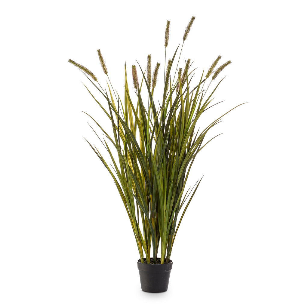 Grass Cattails Artificial - 120cm - (12 Stem)