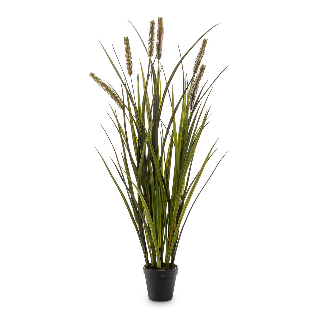 Grass Cattails Artificial - 85cm - (6 Stem)