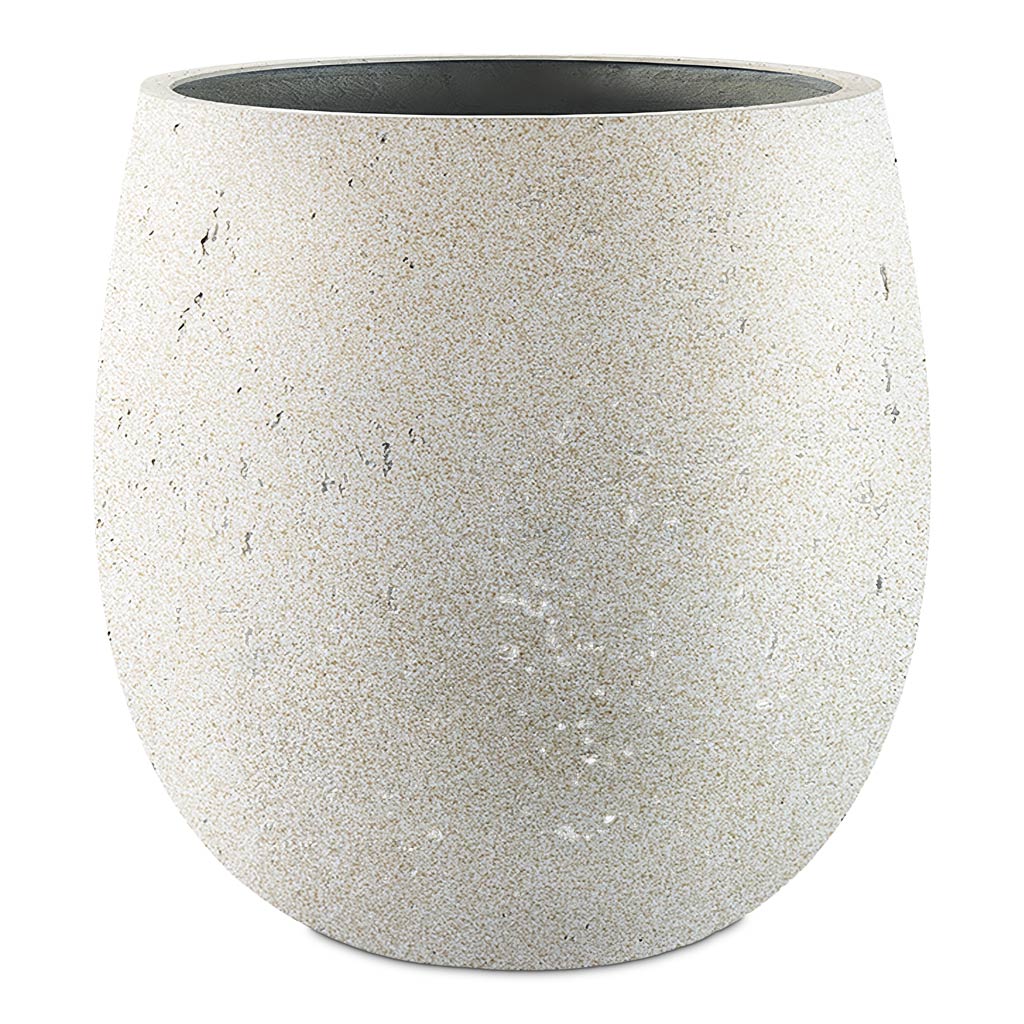 Grigio Balloon Plant Pot - Antique White Concrete- Medium & Large
