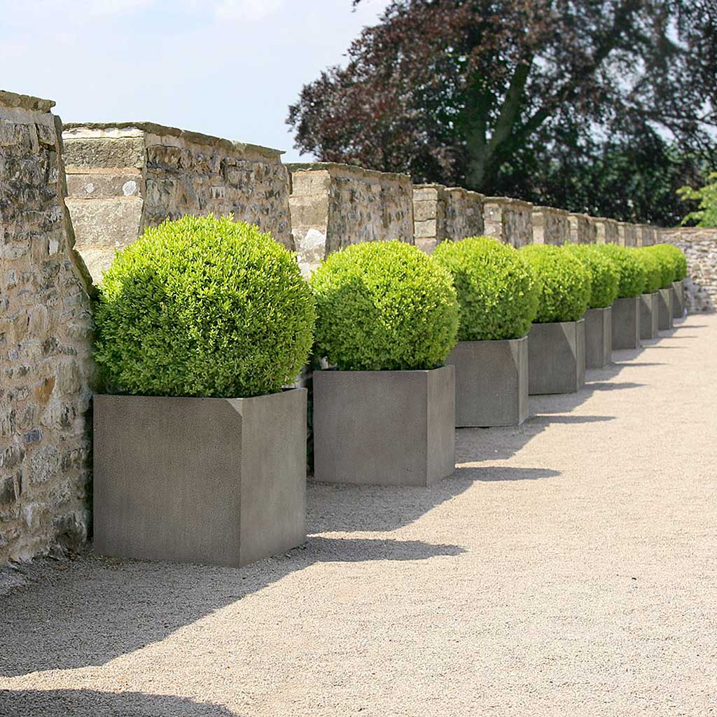 Grigio Cube Planter Natural Concrete