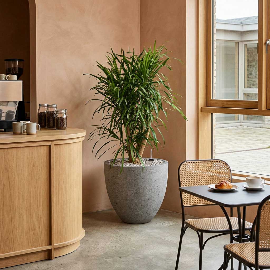 Grigio Egg Pot - XL Plant Display