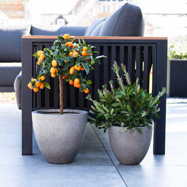 Grigio Egg Pot Planters Natural Concrete