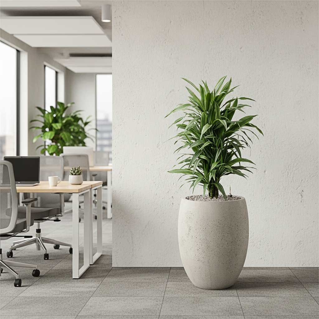 Grigio Tall Balloon - Large Plant Display