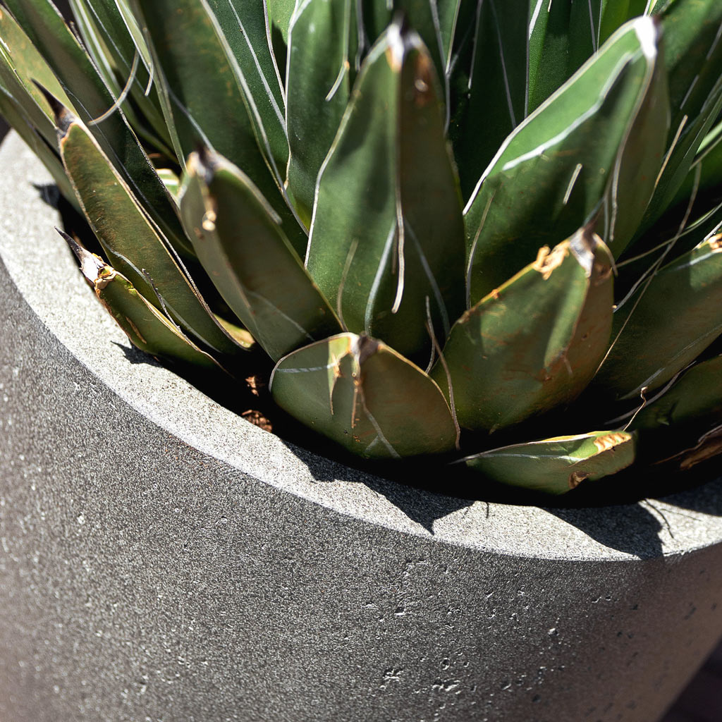 Grigio Tall Egg Pot Planter - Natural Concrete & Agave