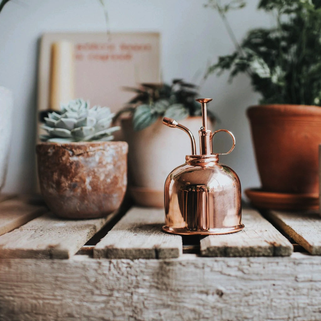 Haws Smethwick Spritzer in Copper With Succulents