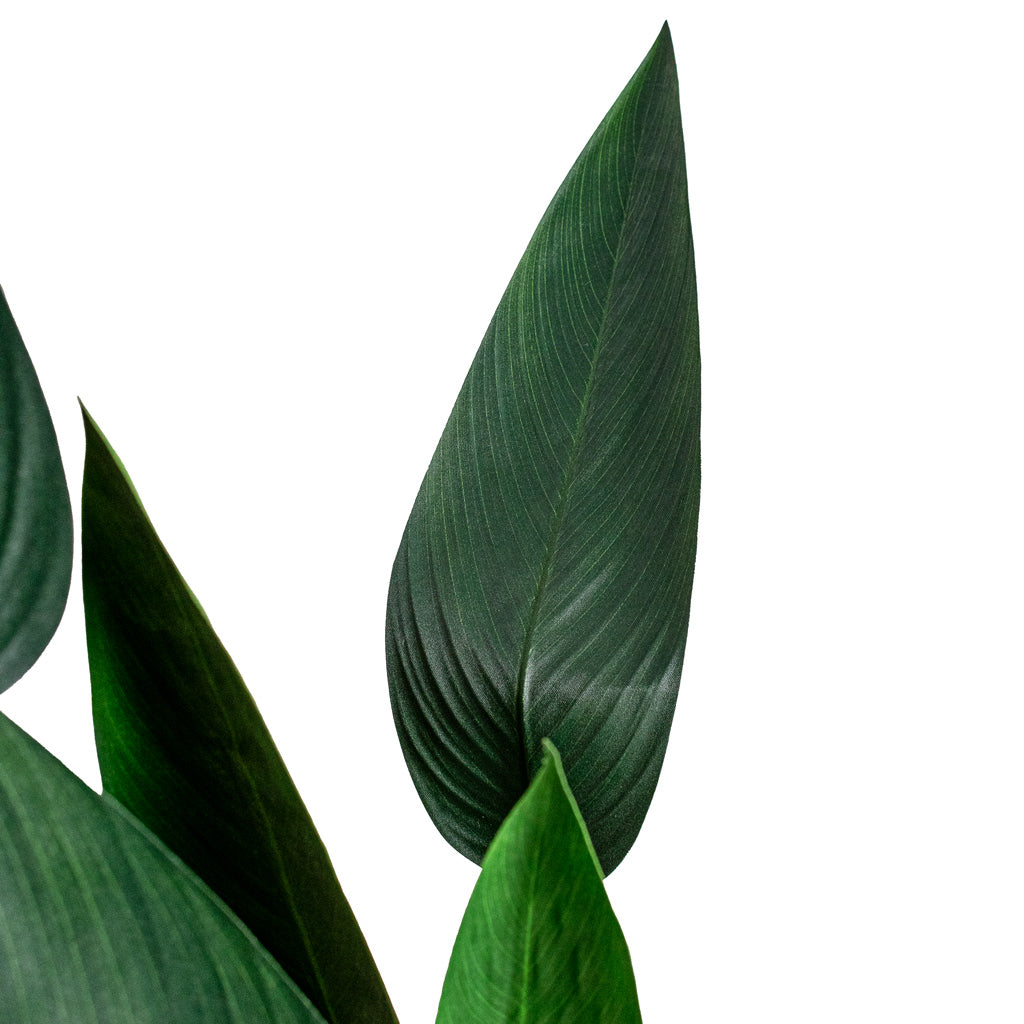 Heliconia Artificial Close Up 