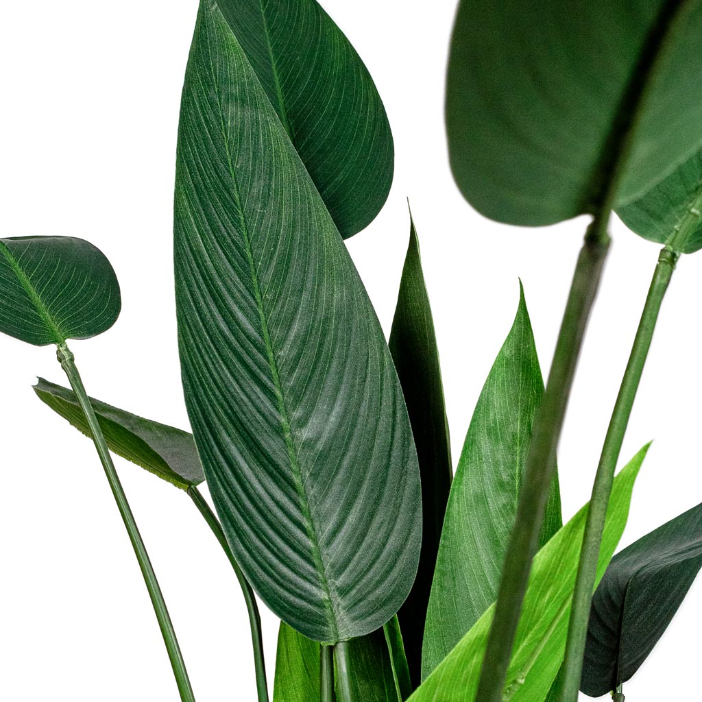 Heliconia Artificial Leaf Detail