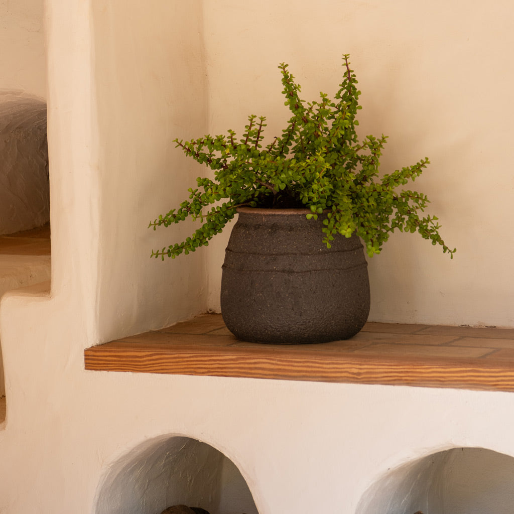 Hestia Mediterranean Planter In Umber Brown 