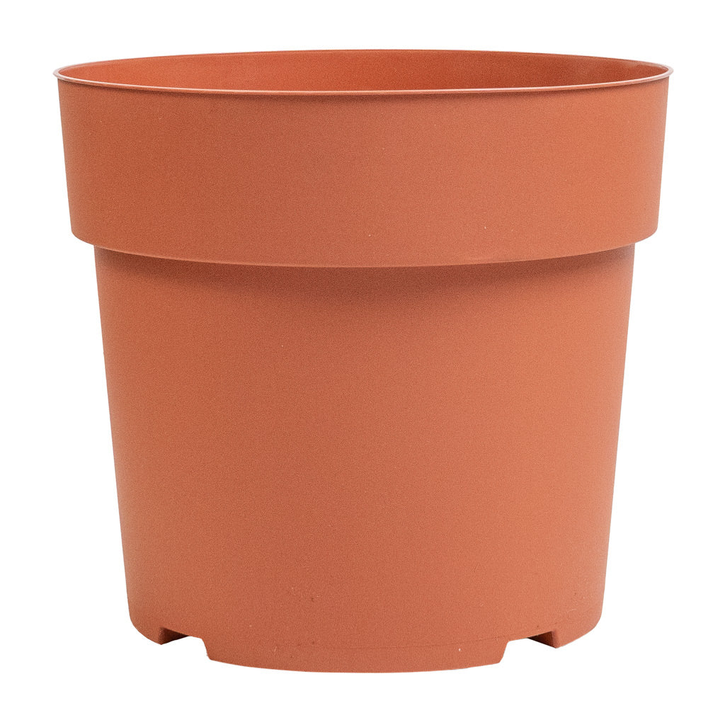 Houseplant Grow Pot - Terracotta - Large