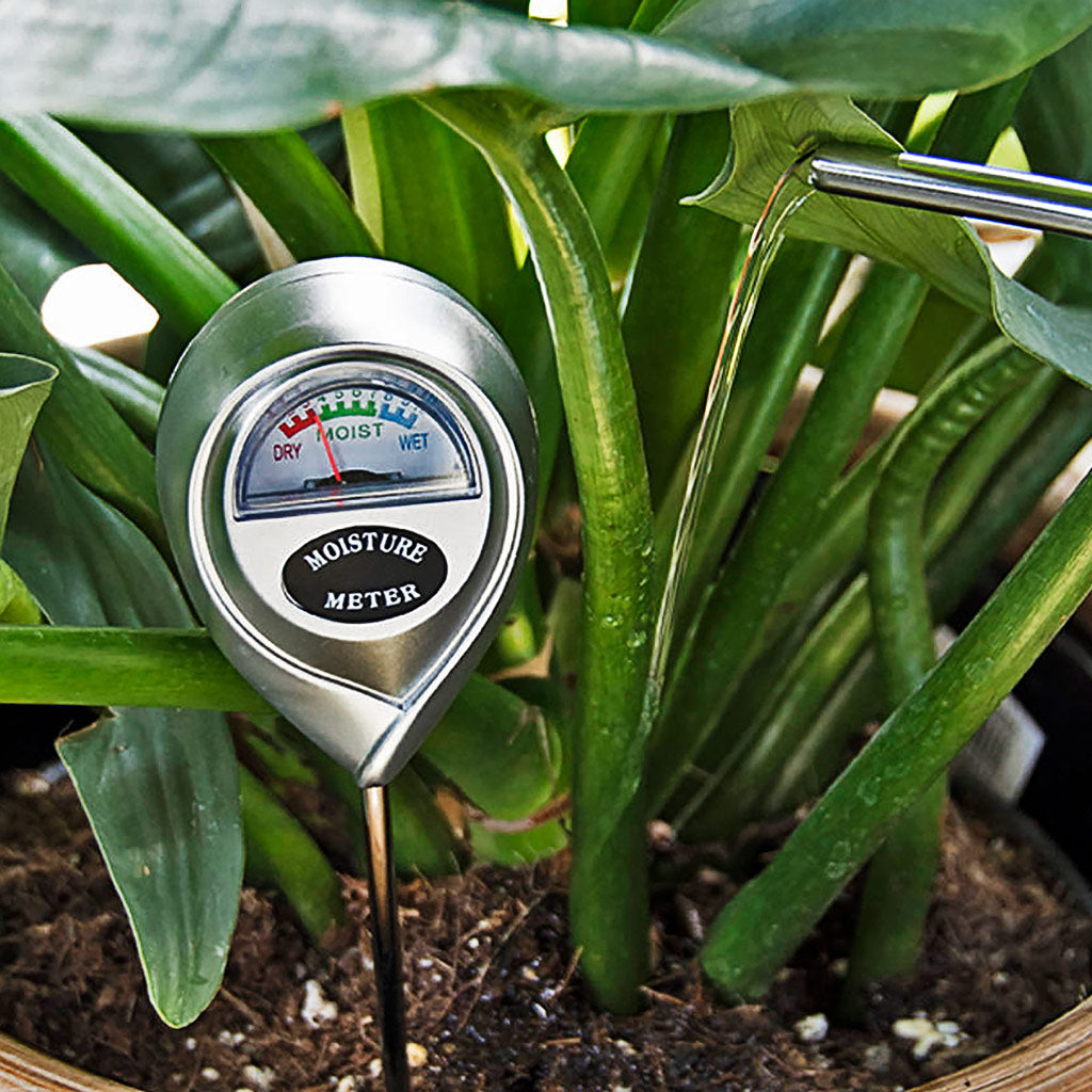 Houseplant Soil Moisture Meter Silver