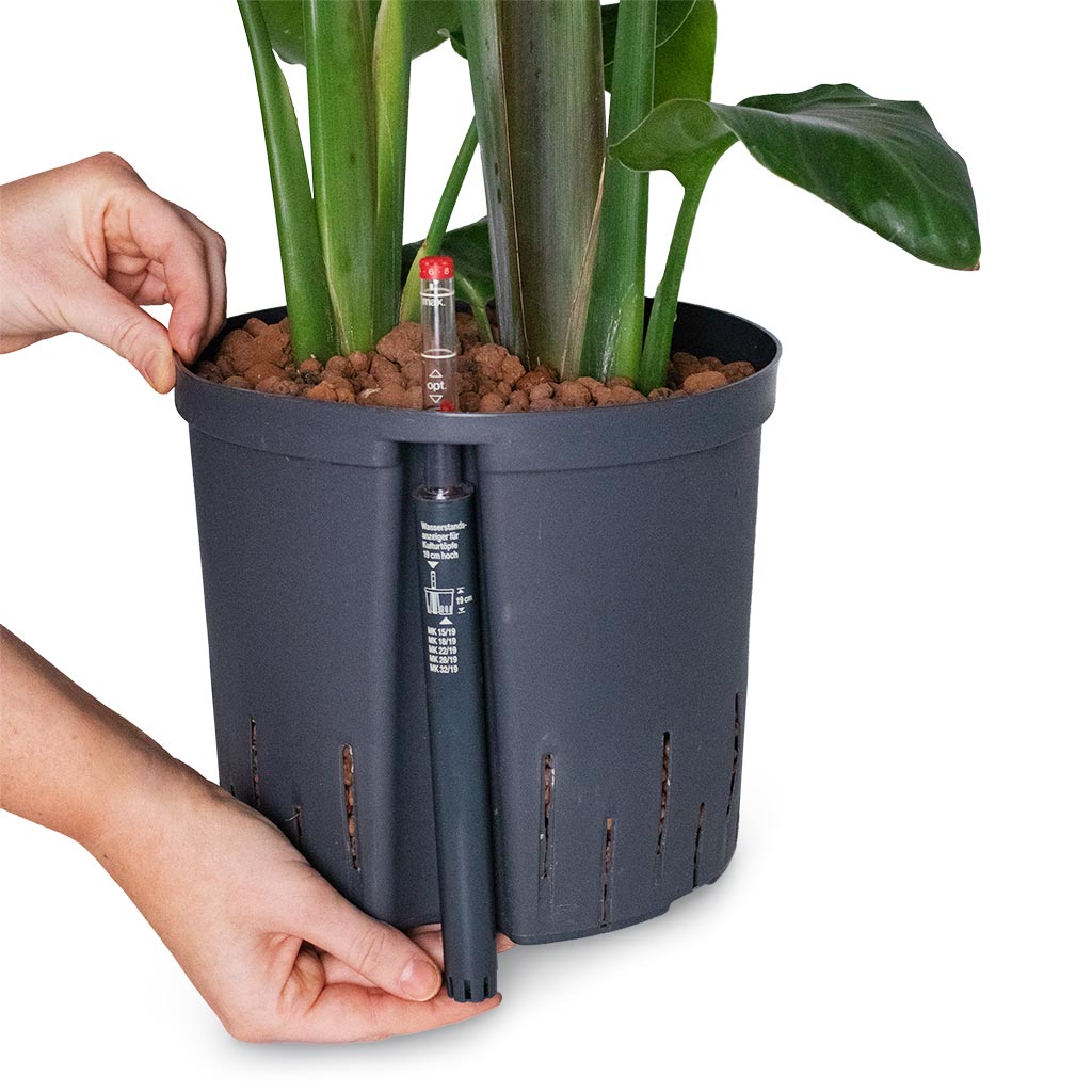 Insert The Water Meter Into The Hydroculture Grow Pot