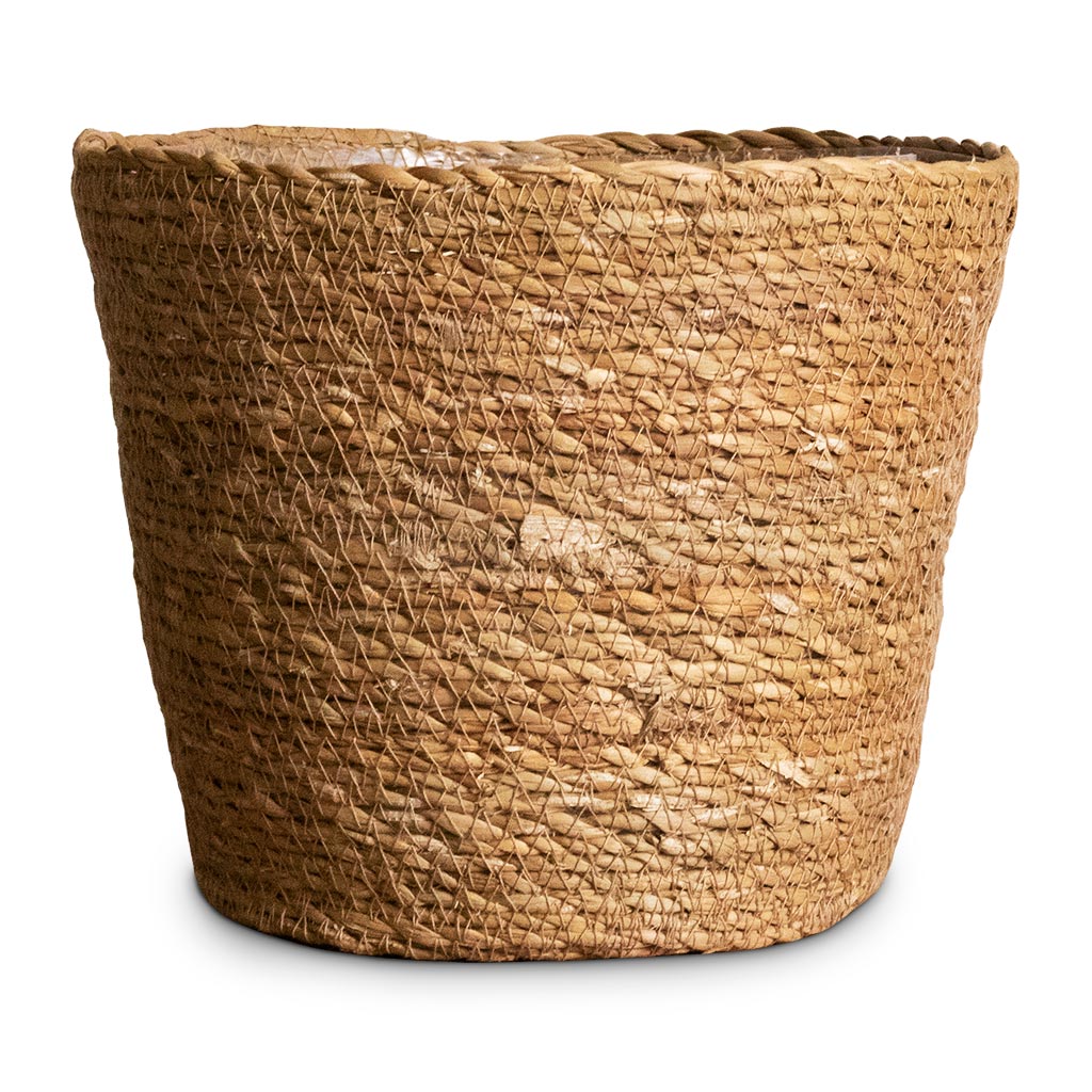 Igmar Plant Basket - Natural Medium